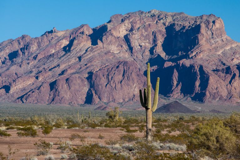Best Cities To Retire In Arizona Desert Winds Retirement Community